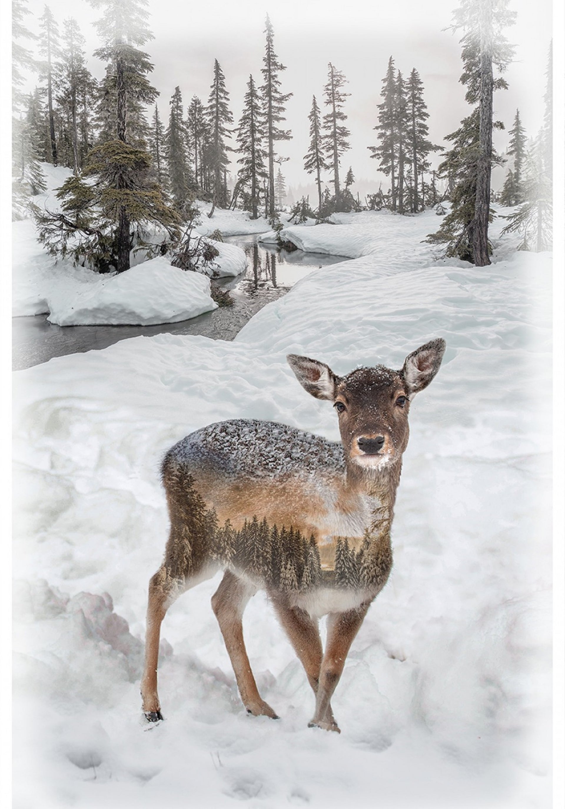 Real Tree Patriotic Deer Panel by Print Concepts-24 X 43 