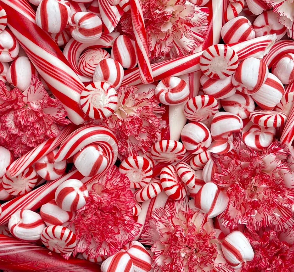 Christmas Peppermint Candies-108 inch-Maywood Studios-BTY