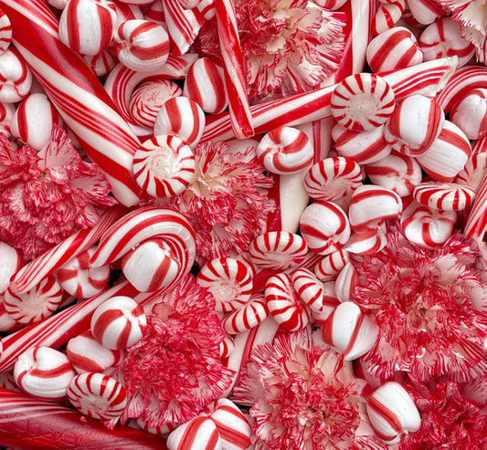 Christmas Peppermint Candies-108 inch-Maywood Studios-BTY